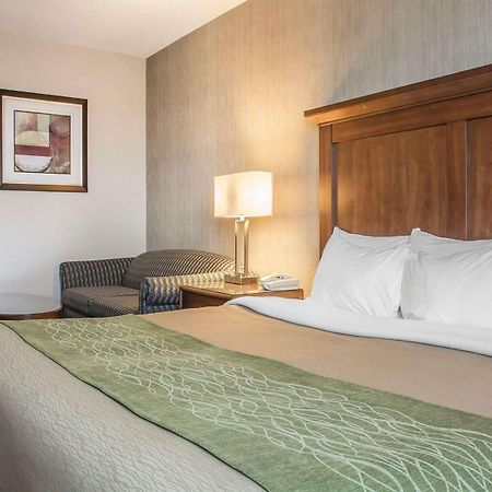 Comfort Inn Порт-Гоп Екстер'єр фото