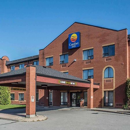 Comfort Inn Порт-Гоп Екстер'єр фото
